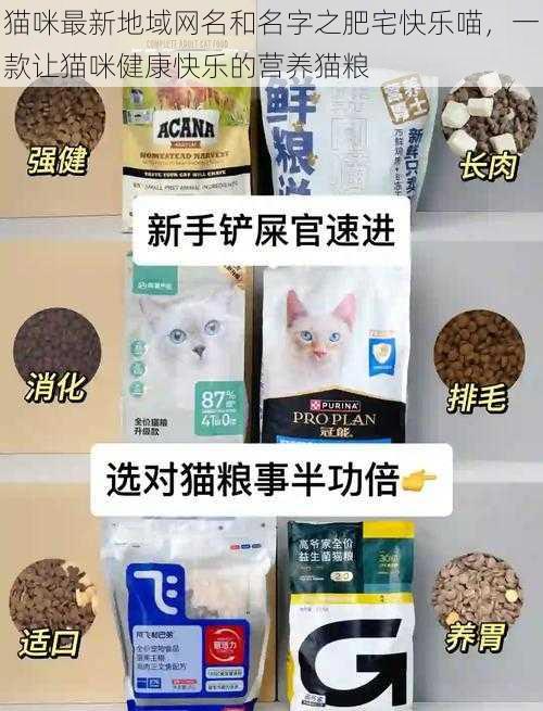 猫咪最新地域网名和名字之肥宅快乐喵，一款让猫咪健康快乐的营养猫粮