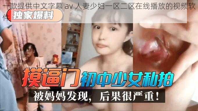 一款提供中文字幕 av 人妻少妇一区二区在线播放的视频软件