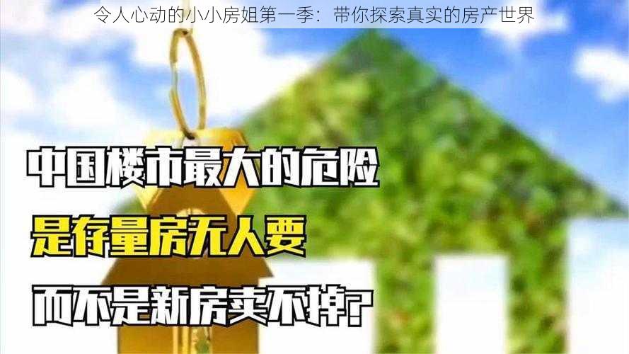 令人心动的小小房姐第一季：带你探索真实的房产世界