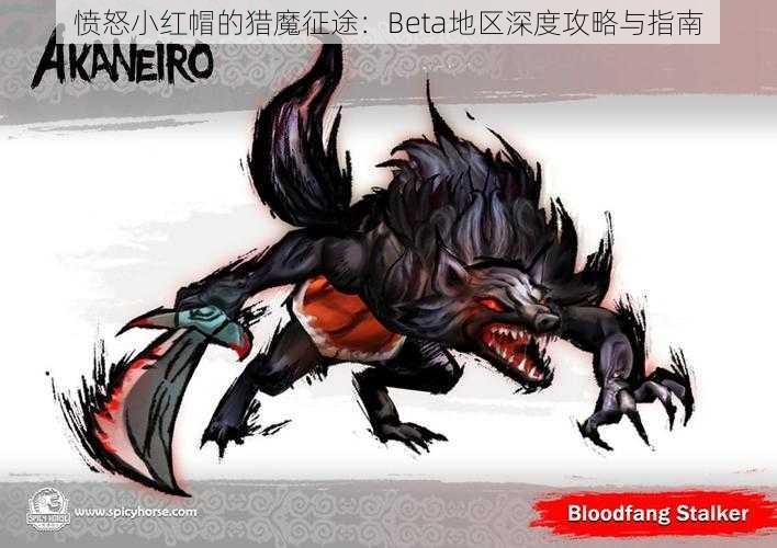 愤怒小红帽的猎魔征途：Beta地区深度攻略与指南