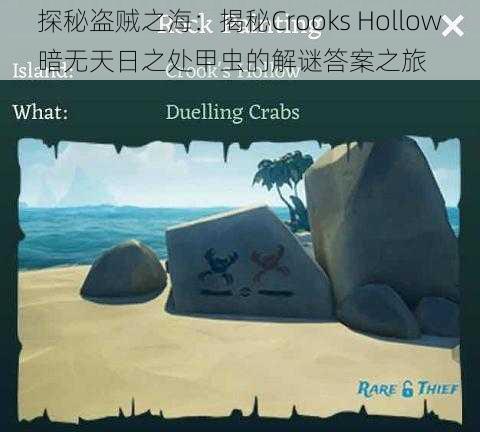 探秘盗贼之海：揭秘Crooks Hollow暗无天日之处甲虫的解谜答案之旅