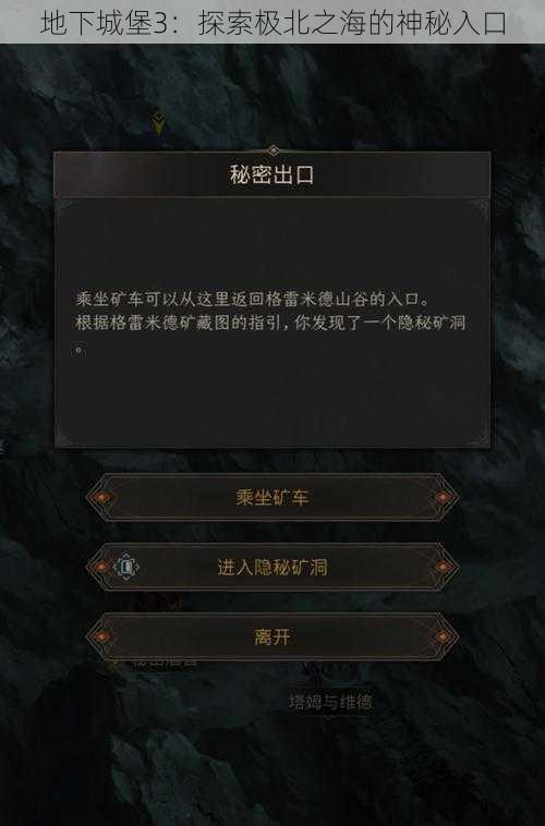 地下城堡3：探索极北之海的神秘入口