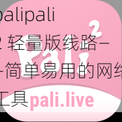 palipali2 轻量版线路——简单易用的网络工具