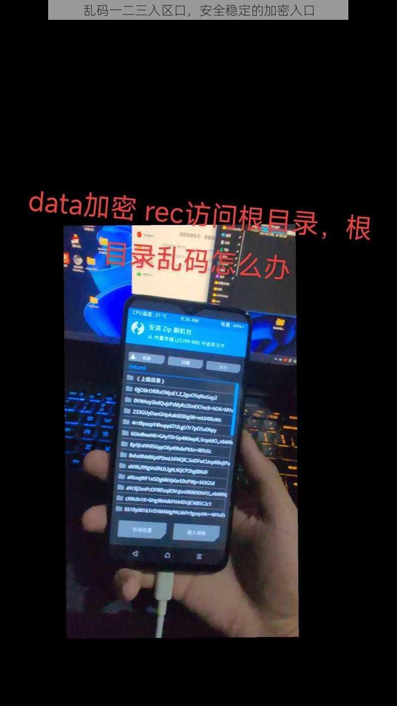乱码一二三入区口，安全稳定的加密入口