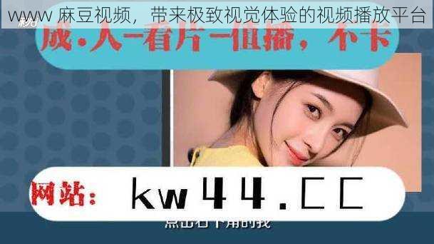 www 麻豆视频，带来极致视觉体验的视频播放平台