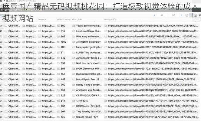 麻豆国产精品无码视频桃花园：打造极致视觉体验的成人视频网站