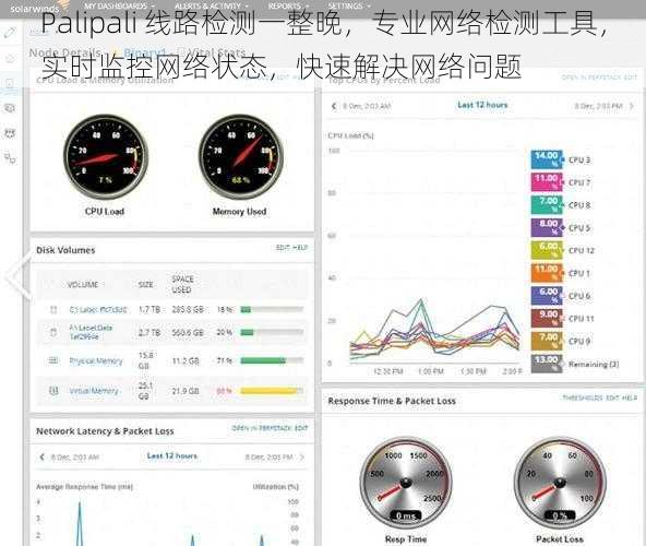 Palipali 线路检测一整晚，专业网络检测工具，实时监控网络状态，快速解决网络问题