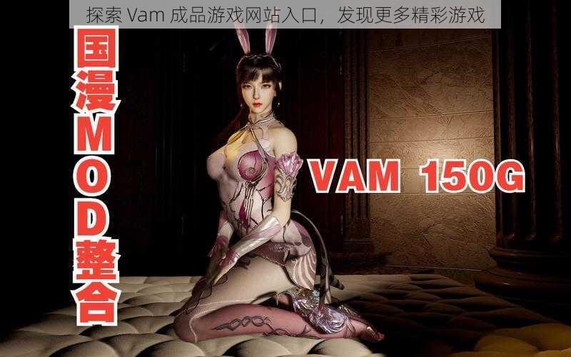 探索 Vam 成品游戏网站入口，发现更多精彩游戏