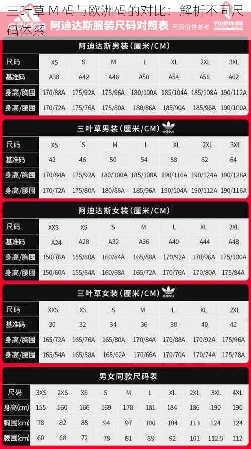 三叶草 M 码与欧洲码的对比：解析不同尺码体系