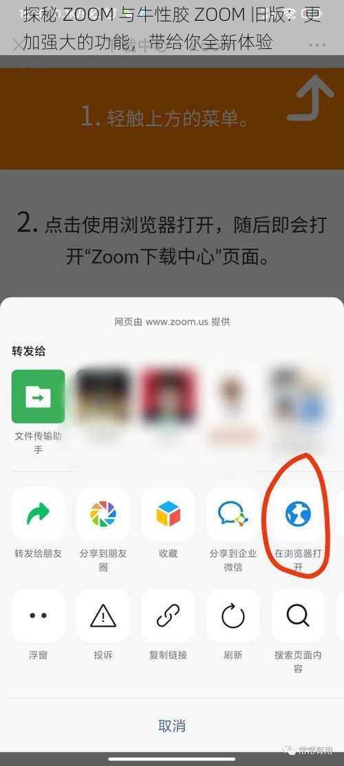 探秘 ZOOM 与牛性胶 ZOOM 旧版：更加强大的功能，带给你全新体验