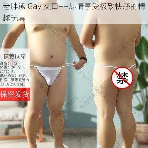 老胖熊 Gay 交口——尽情享受极致快感的情趣玩具