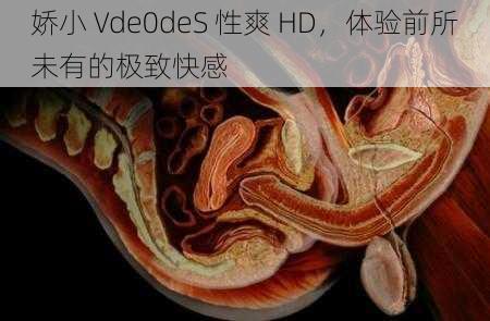 娇小 Vde0deS 性爽 HD，体验前所未有的极致快感