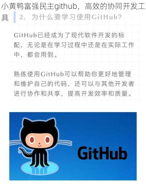 小黄鸭富强民主github，高效的协同开发工具