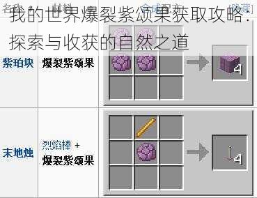 我的世界爆裂紫颂果获取攻略：探索与收获的自然之道