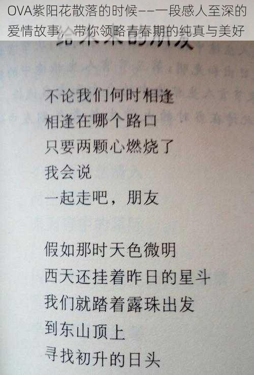 OVA紫阳花散落的时候——一段感人至深的爱情故事，带你领略青春期的纯真与美好