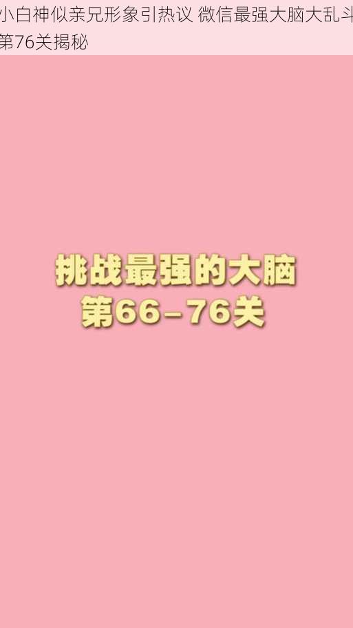 小白神似亲兄形象引热议 微信最强大脑大乱斗第76关揭秘