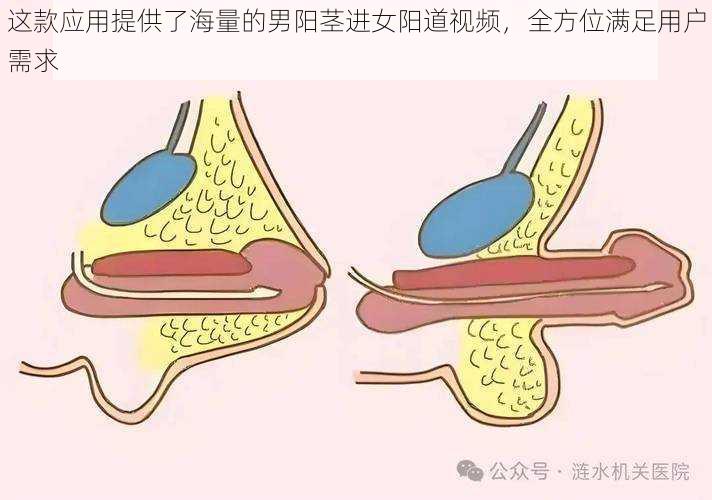 这款应用提供了海量的男阳茎进女阳道视频，全方位满足用户需求