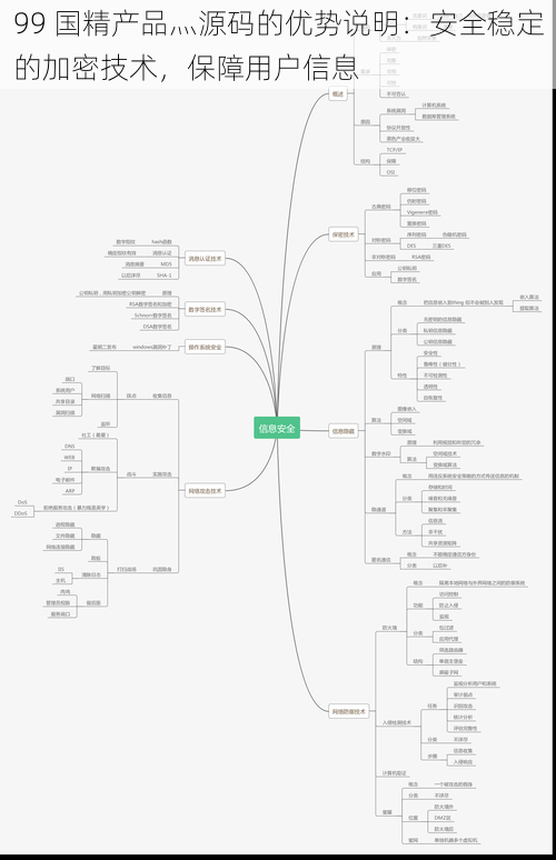 99 国精产品灬源码的优势说明：安全稳定的加密技术，保障用户信息
