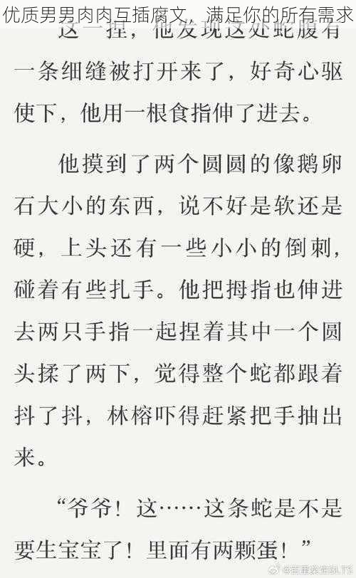 优质男男肉肉互插腐文，满足你的所有需求