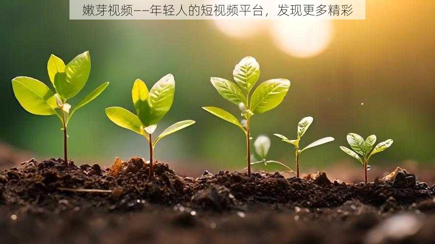 嫩芽视频——年轻人的短视频平台，发现更多精彩