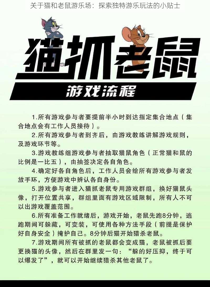 关于猫和老鼠游乐场：探索独特游乐玩法的小贴士