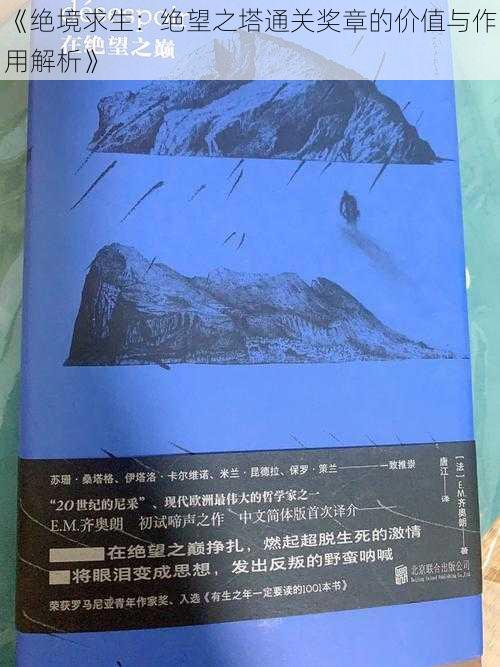 《绝境求生：绝望之塔通关奖章的价值与作用解析》