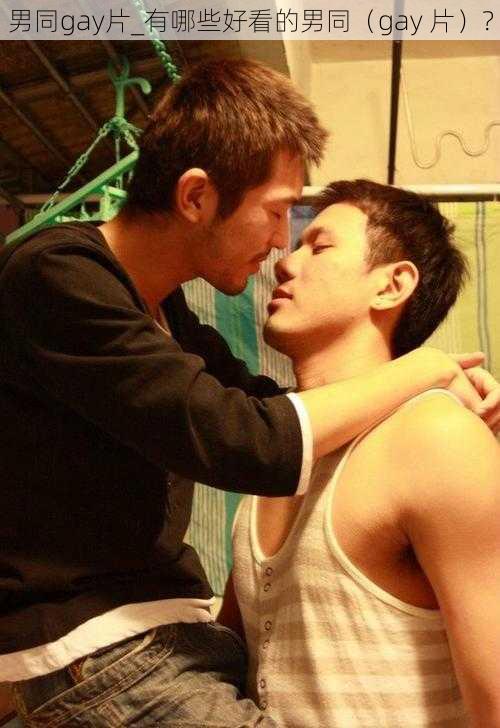 男同gay片_有哪些好看的男同（gay 片）？