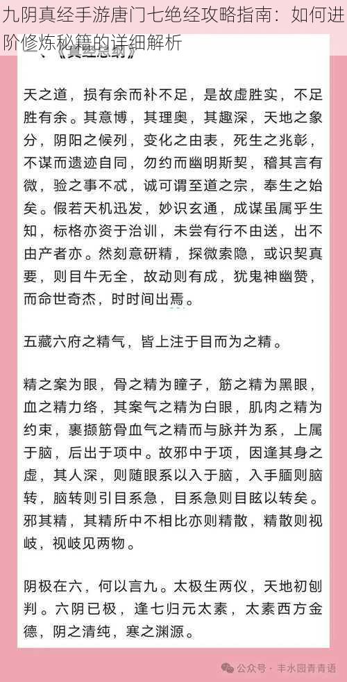 九阴真经手游唐门七绝经攻略指南：如何进阶修炼秘籍的详细解析