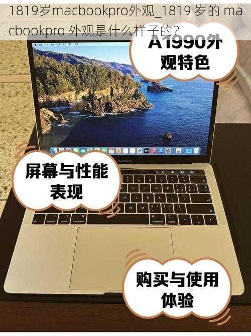 1819岁macbookpro外观_1819 岁的 macbookpro 外观是什么样子的？