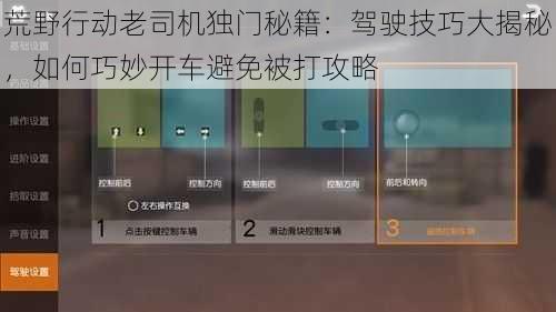 荒野行动老司机独门秘籍：驾驶技巧大揭秘，如何巧妙开车避免被打攻略