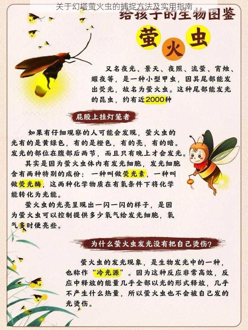 关于幻塔萤火虫的捕捉方法及实用指南