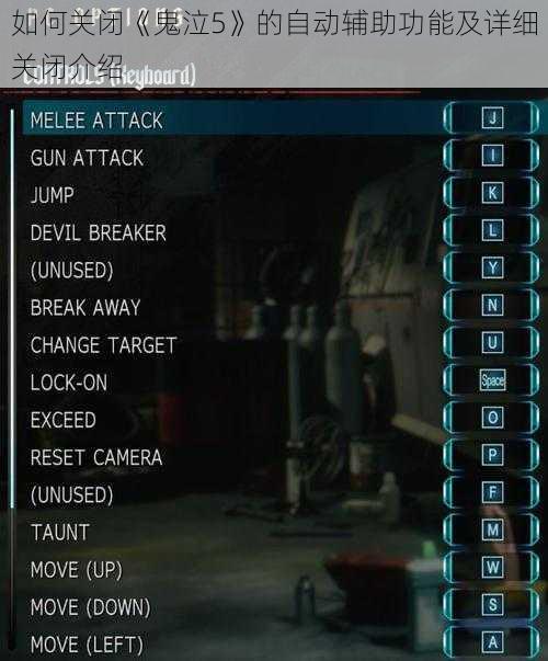 如何关闭《鬼泣5》的自动辅助功能及详细关闭介绍