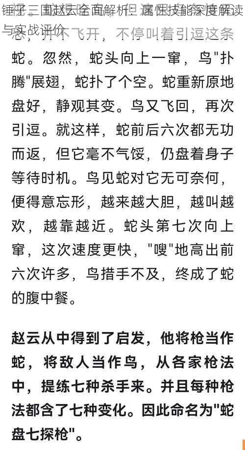 锤子三国赵云全面解析：属性技能深度解读与实战评价