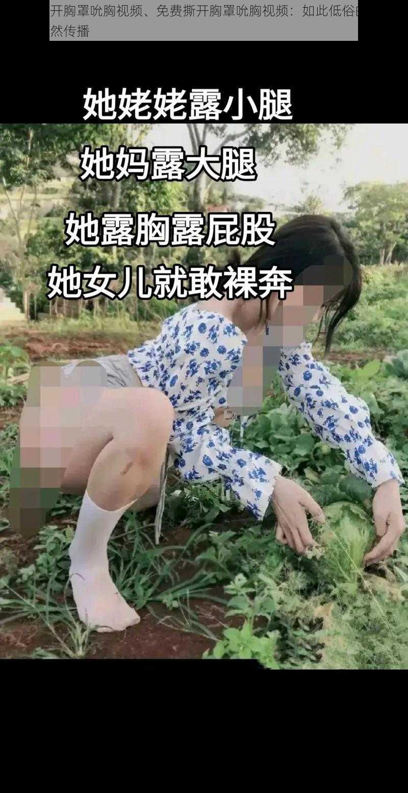 免费撕开胸罩吮胸视频、免费撕开胸罩吮胸视频：如此低俗的内容，竟被公然传播