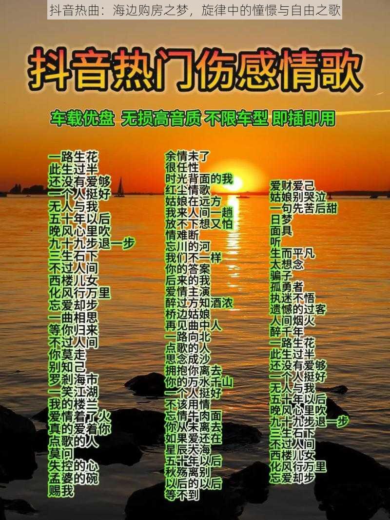 抖音热曲：海边购房之梦，旋律中的憧憬与自由之歌