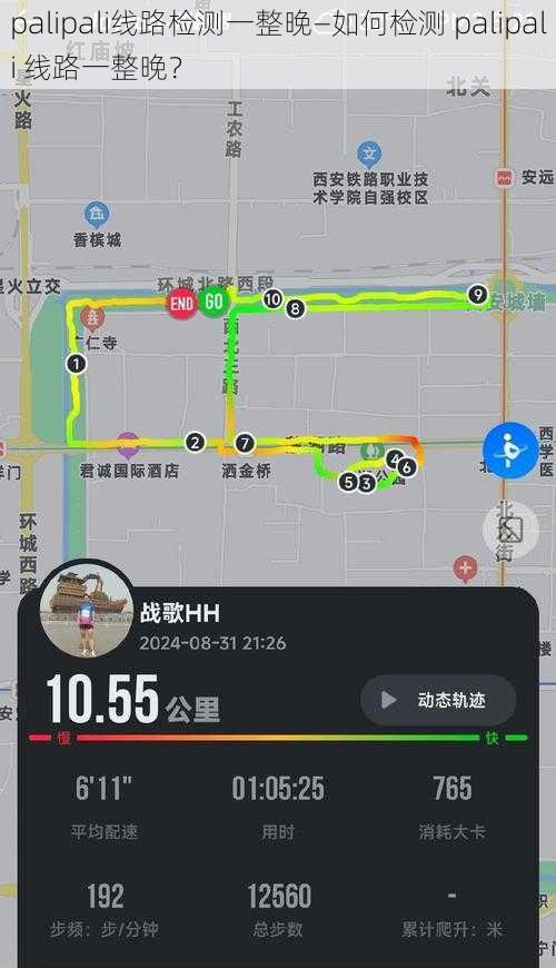 palipali线路检测一整晚—如何检测 palipali 线路一整晚？