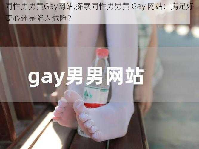 同性男男黄Gay网站,探索同性男男黄 Gay 网站：满足好奇心还是陷入危险？