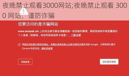 夜晚禁止观看3000网站;夜晚禁止观看 3000 网站，谨防诈骗