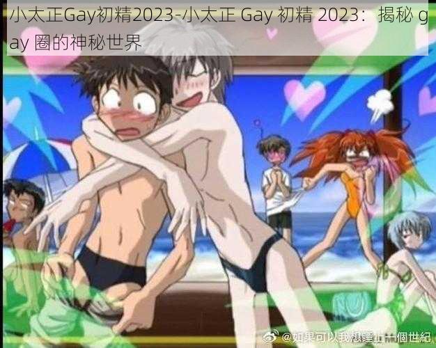 小太正Gay初精2023-小太正 Gay 初精 2023：揭秘 gay 圈的神秘世界