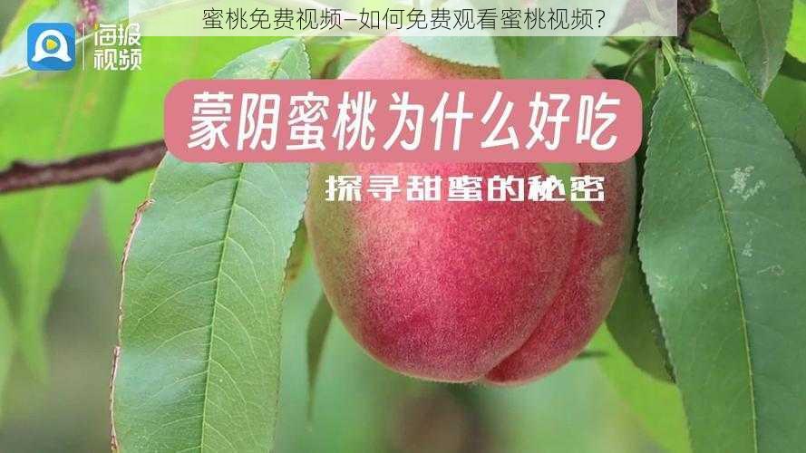 蜜桃免费视频—如何免费观看蜜桃视频？