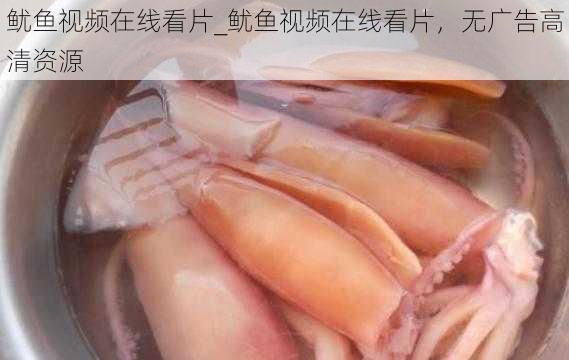 鱿鱼视频在线看片_鱿鱼视频在线看片，无广告高清资源