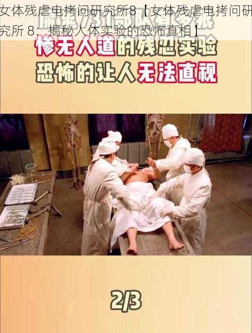 女体残虐电拷问研究所8【女体残虐电拷问研究所 8：揭秘人体实验的恐怖真相】