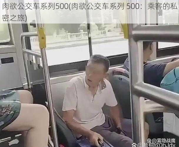 肉欲公交车系列500(肉欲公交车系列 500：乘客的私密之旅)