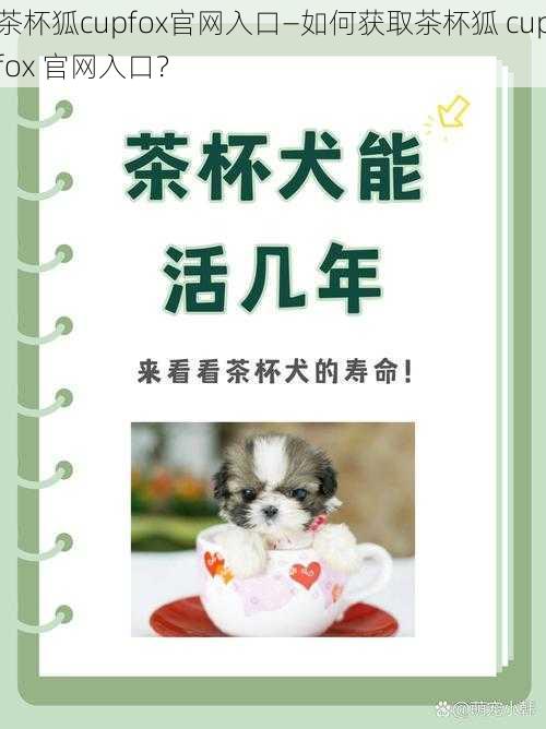 茶杯狐cupfox官网入口—如何获取茶杯狐 cupfox 官网入口？