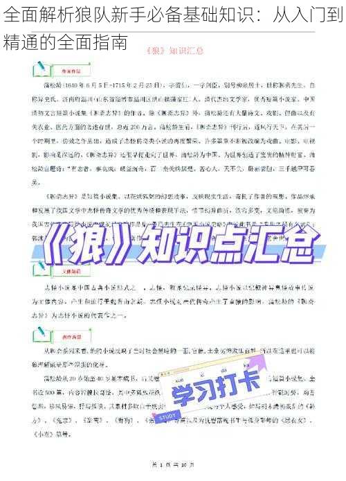 全面解析狼队新手必备基础知识：从入门到精通的全面指南