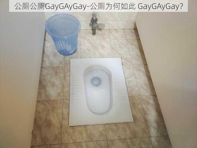 公厕公厕GayGAyGay-公厕为何如此 GayGAyGay？