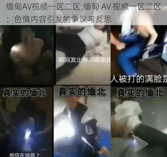 缅甸AV视频一区二区;缅甸 AV 视频一区二区：色情内容引发的争议与反思