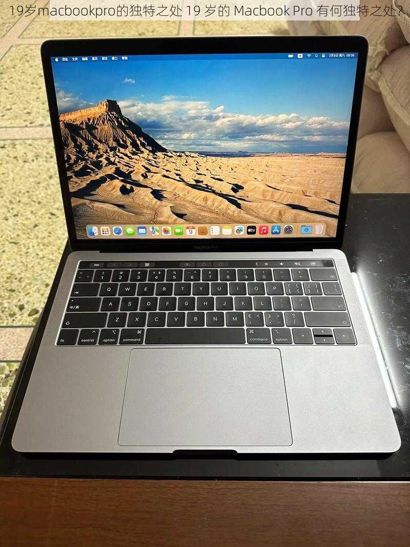 19岁macbookpro的独特之处 19 岁的 Macbook Pro 有何独特之处？