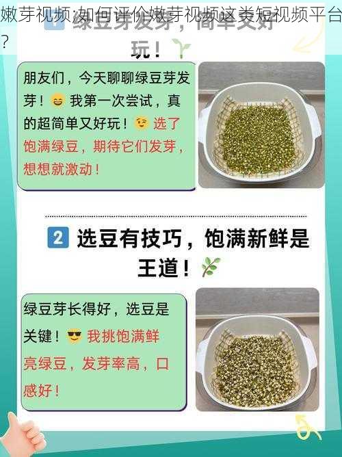 嫩芽视频;如何评价嫩芽视频这类短视频平台？