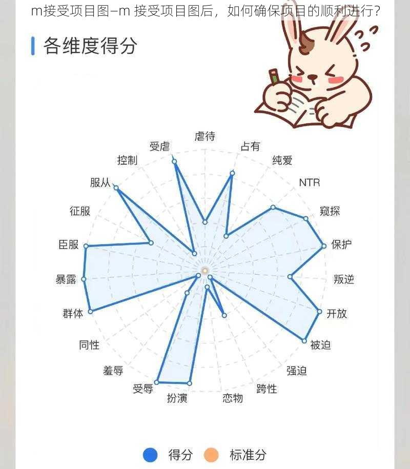 m接受项目图—m 接受项目图后，如何确保项目的顺利进行？